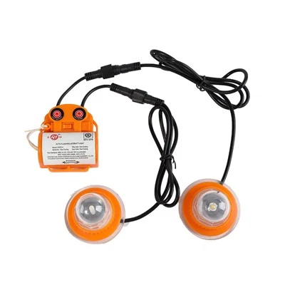 LED LIFERAFT תאורה RSFD-4